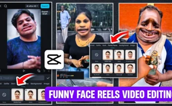Funny Face Instagram Reels Video Editing In Capcut